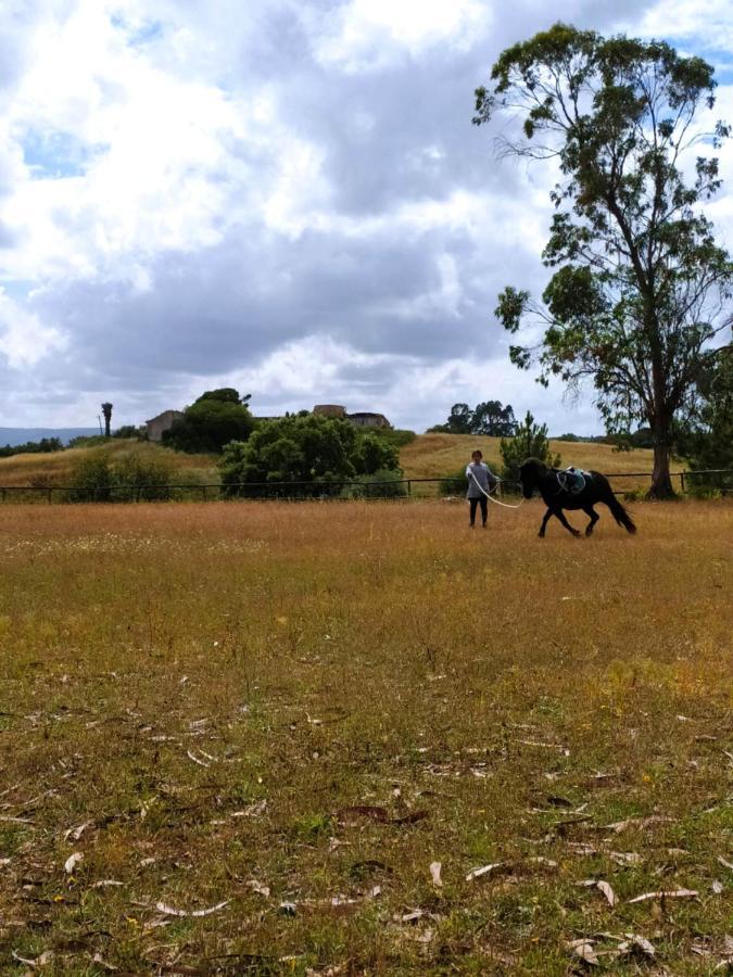 Herdade Da Hera Azambuja Exteriér fotografie