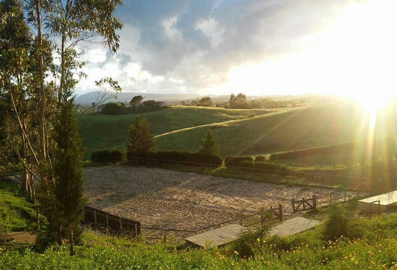 Herdade Da Hera Azambuja Exteriér fotografie
