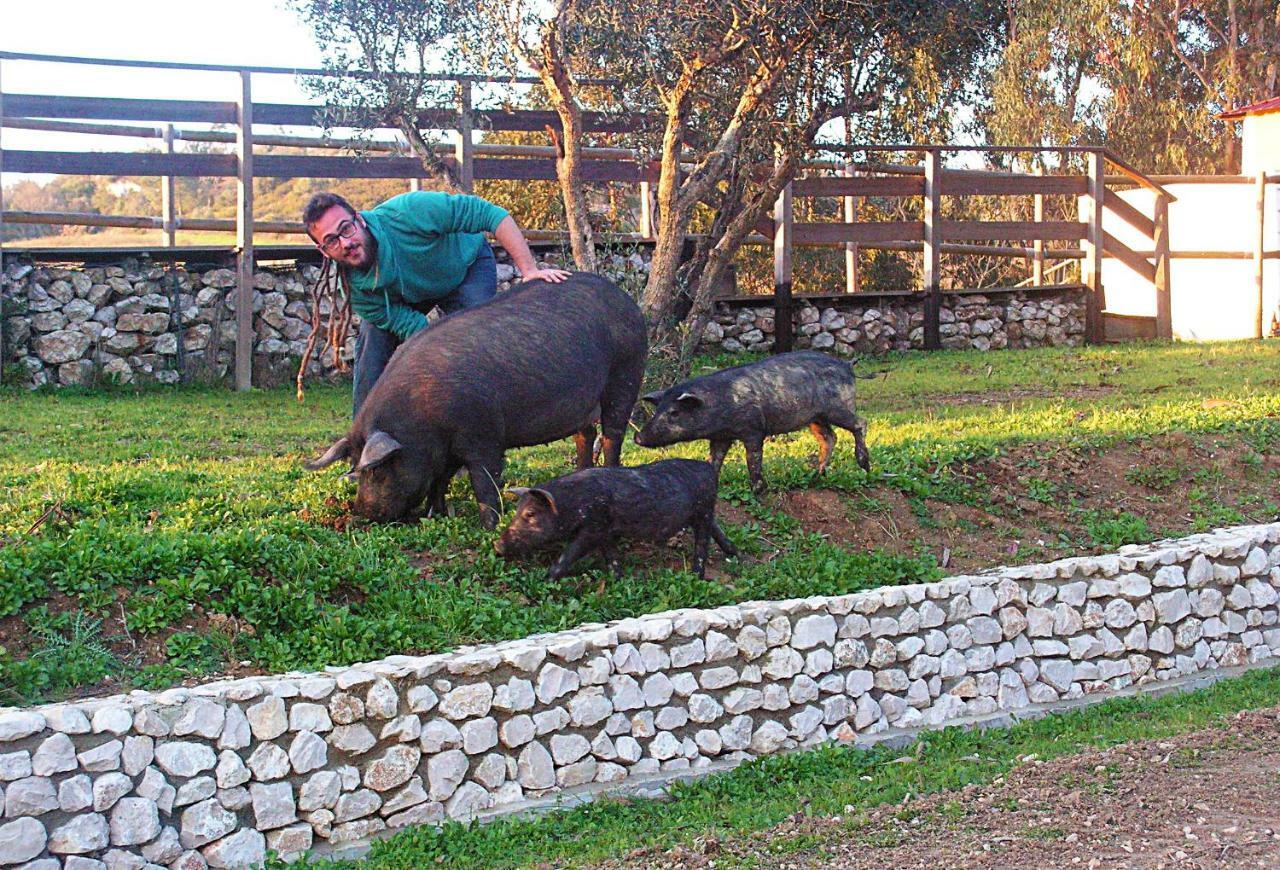 Herdade Da Hera Azambuja Exteriér fotografie