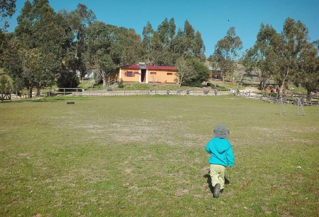 Herdade Da Hera Azambuja Exteriér fotografie