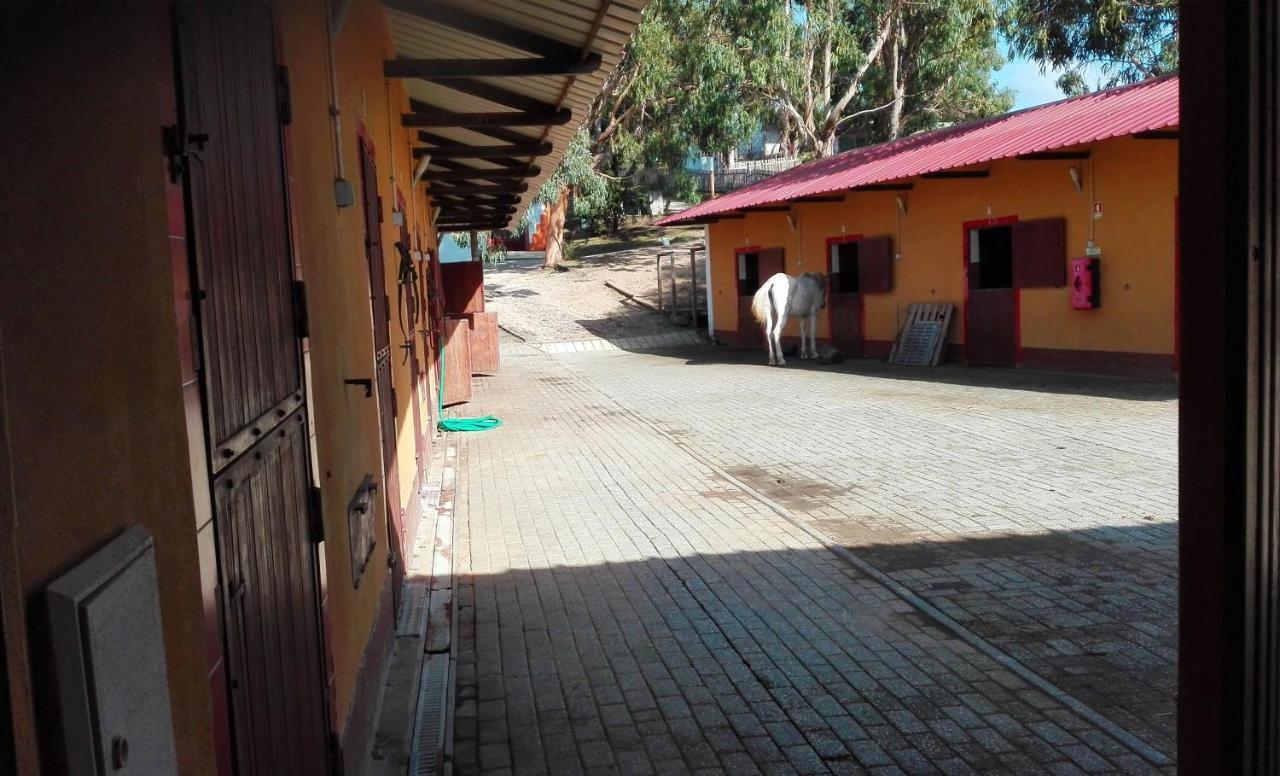 Herdade Da Hera Azambuja Exteriér fotografie